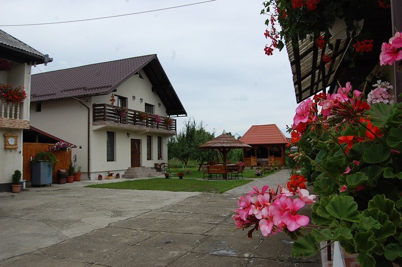 Cazare in Maramures - PENSIUNEA IOANA ANGELICA - Vadu Izei