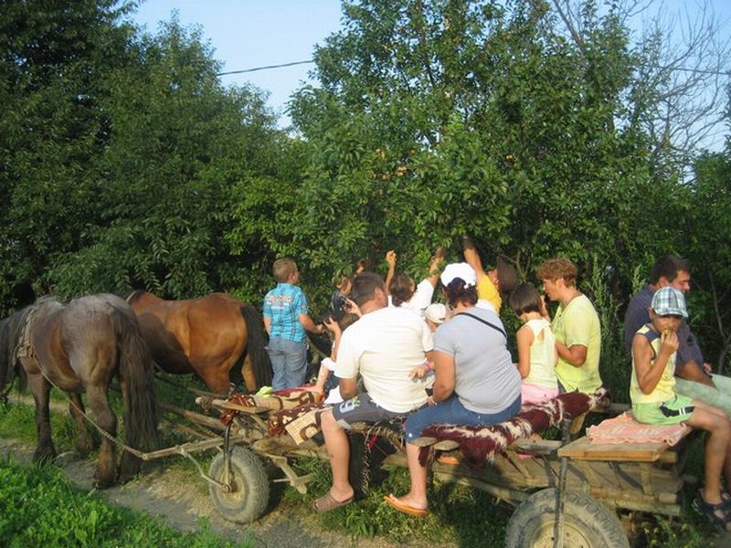 Cazare in Maramures - PENSIUNEA LILIANA - Poienile Izei