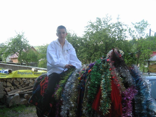 Cazare in Maramures - PENSIUNEA LILIANA - Poienile Izei