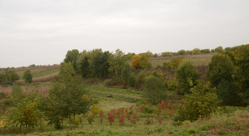 Cazare in Maramures - PENSIUNEA LALEAUA PESTRITA - Fersig