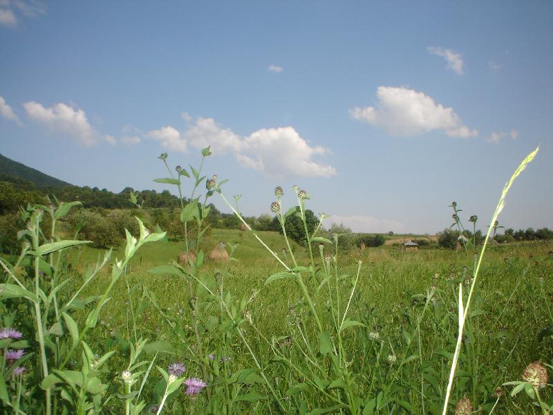 Cazare in Maramures - PENSIUNEA Ocnesti - Oncesti