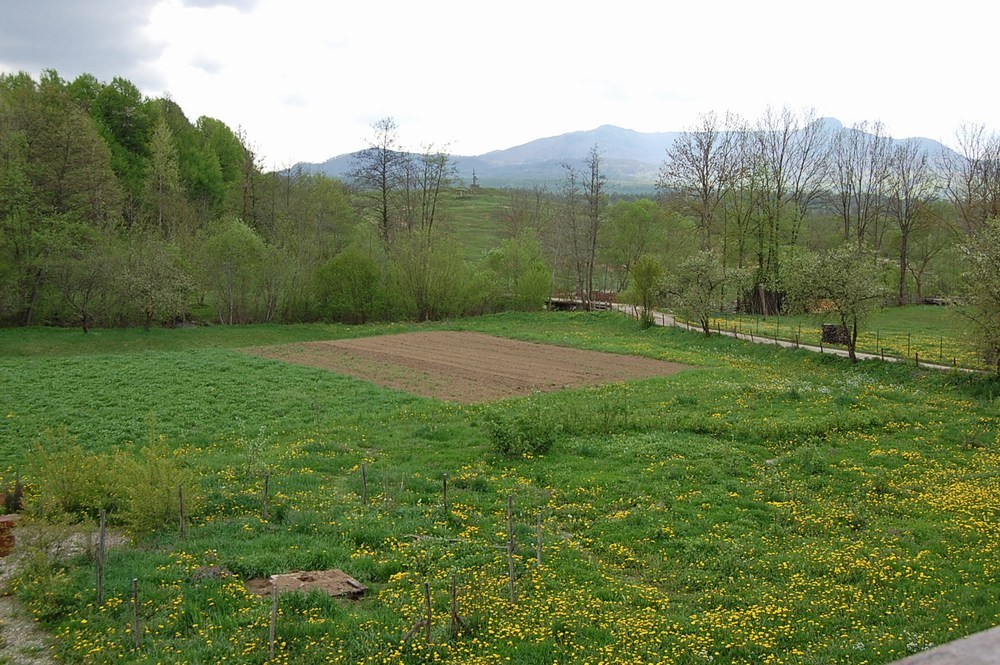 Cazare in Maramures - PENSIUNEA ARAN - Desesti