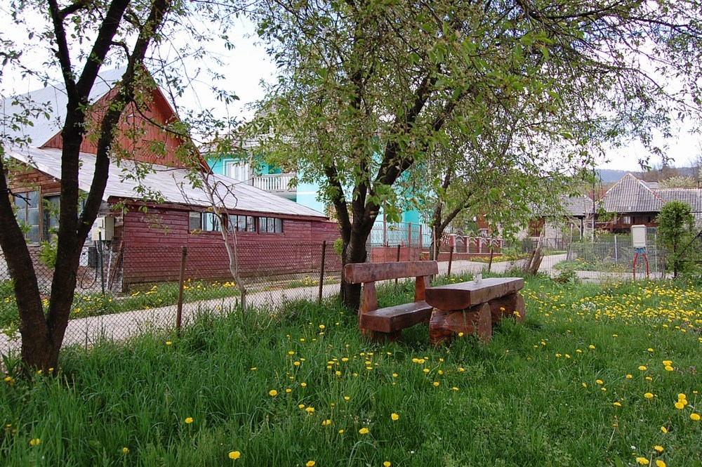 Cazare in Maramures - PENSIUNEA ARAN - Desesti