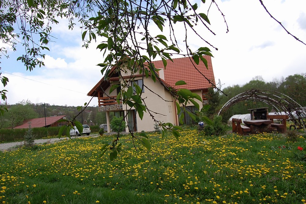 Cazare in Maramures - PENSIUNEA ARAN - Desesti