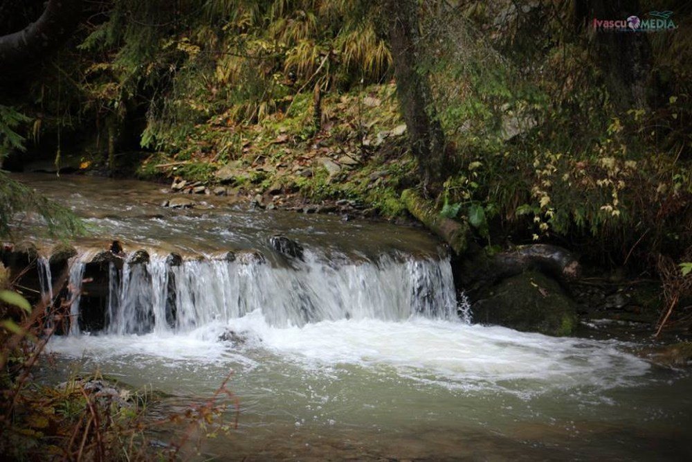 Cazare in Maramures - CABANA IZA IZVOR - Sacel