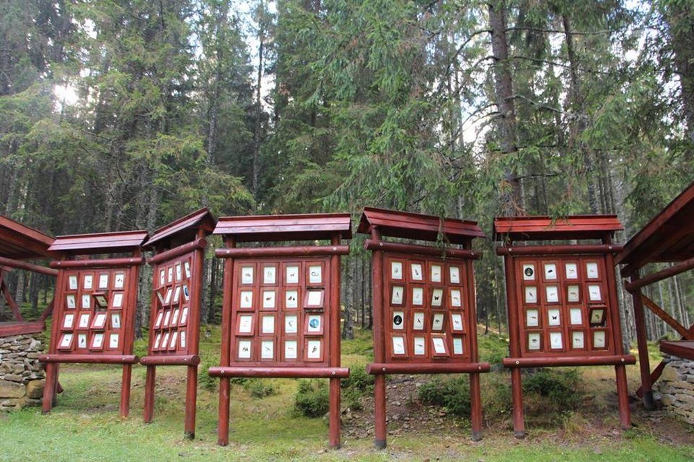 Cazare in Maramures - CABANA IZA IZVOR - Sacel