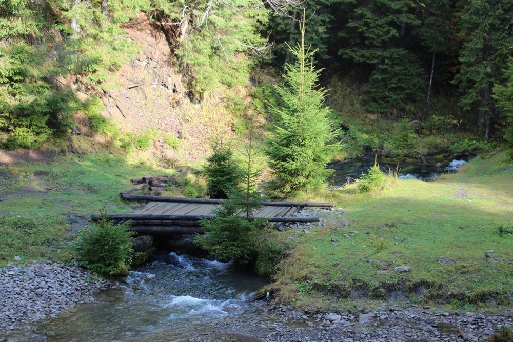 Cazare in Maramures - CABANA IZA IZVOR - Sacel