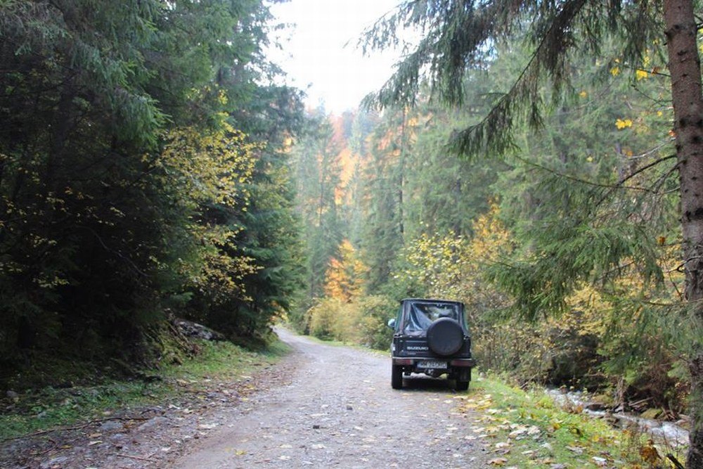 Cazare in Maramures - CABANA IZA IZVOR - Sacel