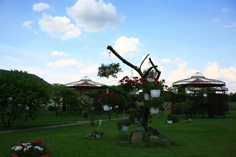 Cazare in Maramures - HOTEL NOV - Sighetu Marmatiei