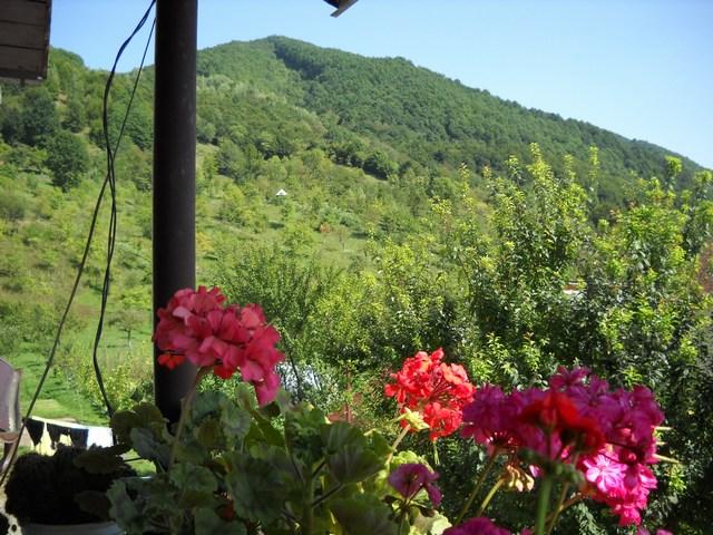 Cazare in Maramures - PENSIUNEA DUMBRAVA - Barsana