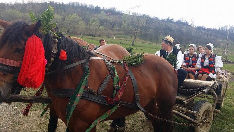 Cazare in Maramures - PENSIUNEA IN DEAL LA ANCUTA - Vadu Izei