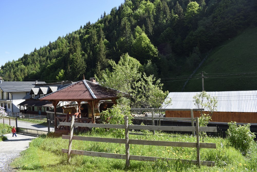 Cazare in Maramures - CASA Ileana - Borsa