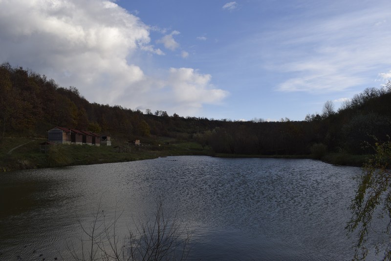 Cazare in Maramures - PESCARIE HAN MOROSAN - Campulung La Tisa