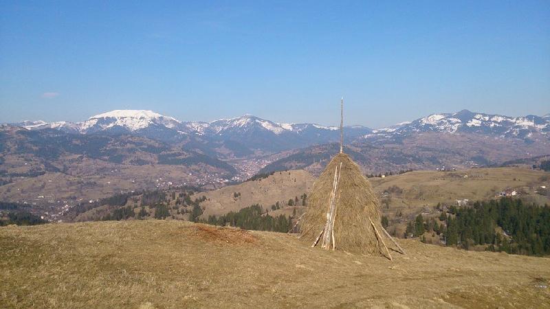 Cazare in Maramures - HOTEL ROMAN - Borsa