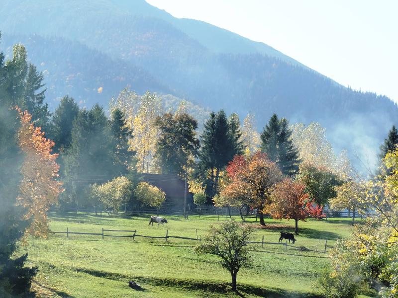 Cazare in Maramures - HOTEL ROMAN - Borsa