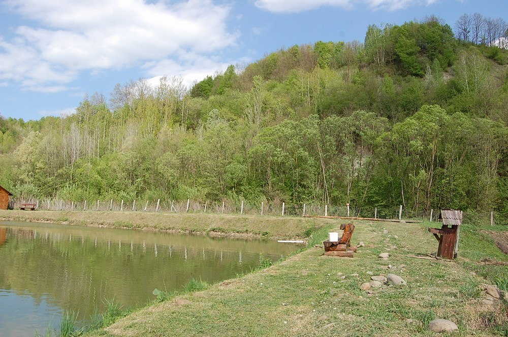 Cazare in Maramures - PENSIUNEA COSAU - Calinesti