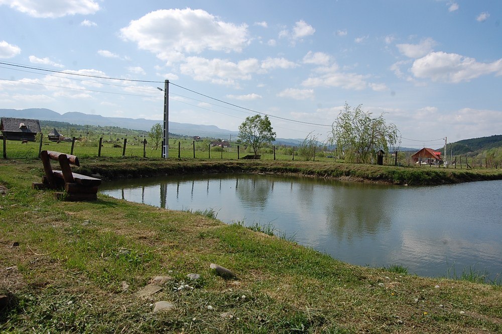 Cazare in Maramures - PENSIUNEA COSAU - Calinesti