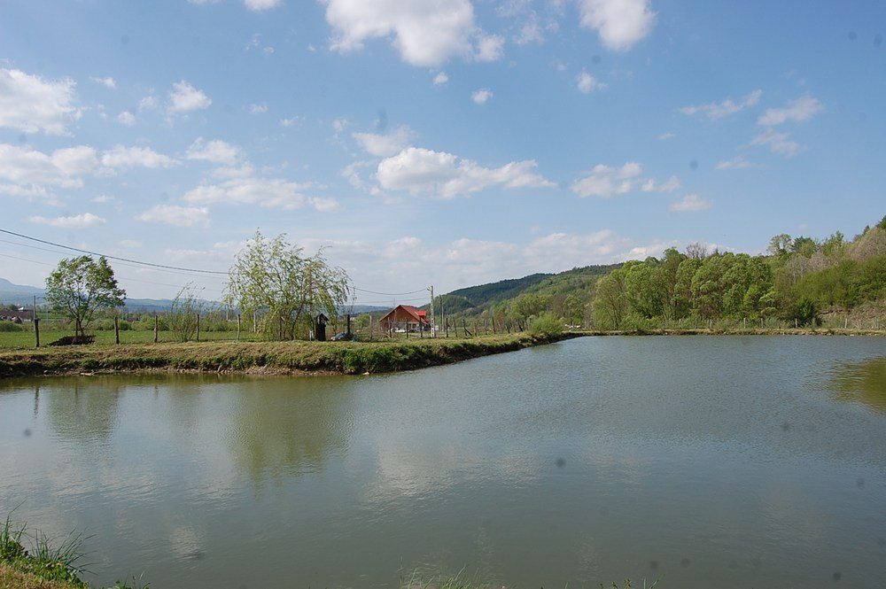 Cazare in Maramures - PENSIUNEA COSAU - Calinesti