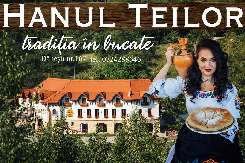 Cazare in Maramures - HANUL TEILOR - Danesti