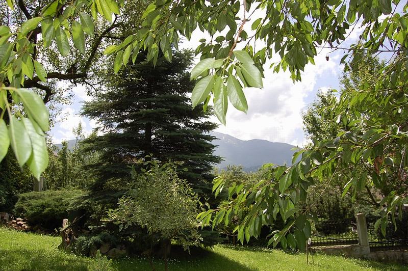 Cazare in Maramures - CABANA RUSTIK - Borsa