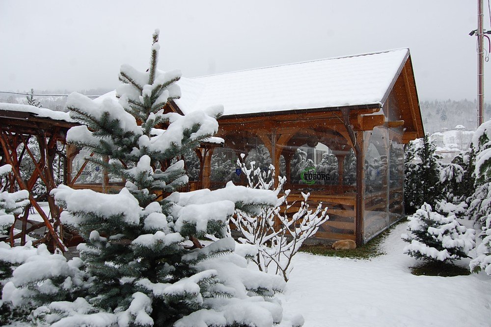 Cazare in Maramures - PENSIUNE RESTAURANT ROYAL - Borsa