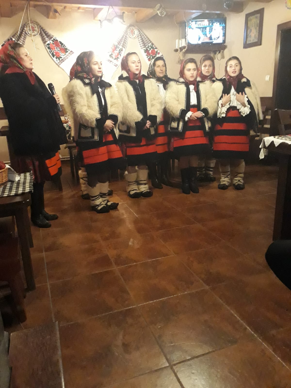 Cazare in Maramures - PENSIUNEA LA URSANU - Calinesti