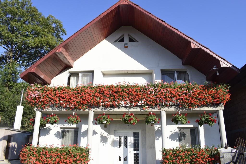 Cazare in Maramures - CASA ANGY - Valeni