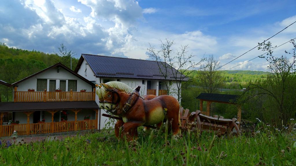 Cazare in Maramures - Casa Papitu - Vadu Izei