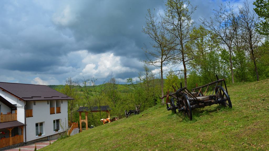 Cazare in Maramures - Casa Papitu - Vadu Izei