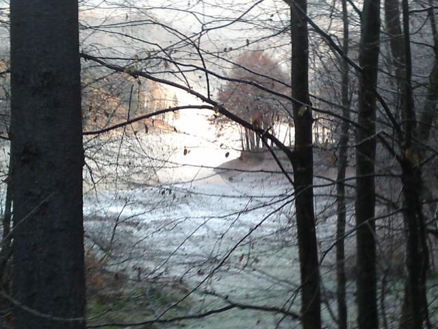 Cazare in Maramures - PENSIUNEA CAPRIOARA - Firiza