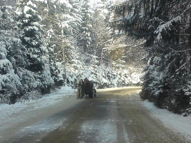 Cazare in Maramures - PENSIUNEA CAPRIOARA - Firiza