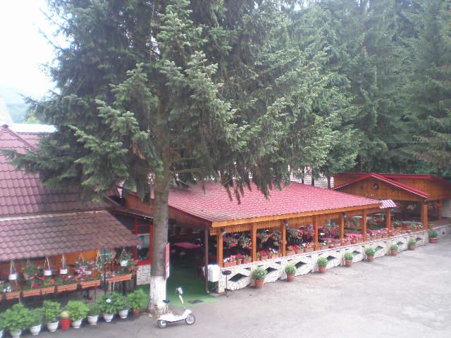 Cazare in Maramures - PENSIUNEA CAPRIOARA - Firiza