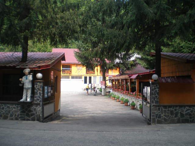 Cazare in Maramures - PENSIUNEA CAPRIOARA - Firiza