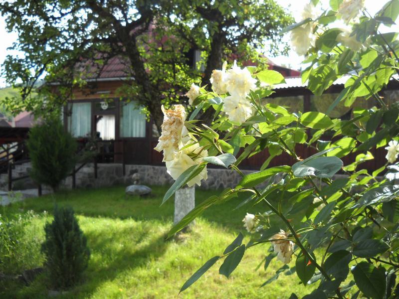 Cazare in Maramures - PENSIUNEA IOANA - Borsa