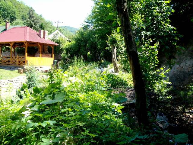 Cazare in Maramures - CASA LUPSA - Firiza-baia Mare